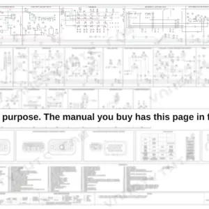 Full-sheet electrical schematic laid out in 23 numbered circuit frames with fuse and relay location diagrams and harness connector pin maps - shipped intentionally blurred, headings remain readable