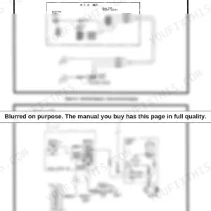 JLG CM25RT, CM33RT, CM40RT wiring diagrams for dual fuel system and Powermite generator Ford engine components.
