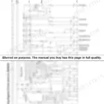 Wacker Neuson 901s, 901sp electrical system wiring diagram showing display element, safety valves, and parking brake circuits.
