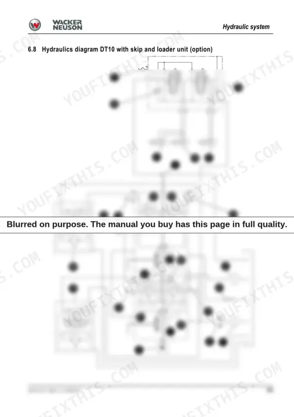 Wacker Neuson DT10 hydraulic system diagram showing skip and loader unit options with numbered component callouts.