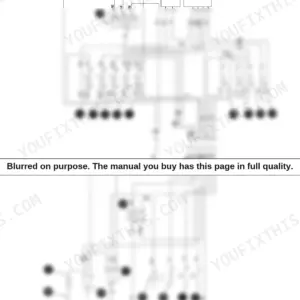Wacker Neuson DT10 electrical system wiring diagram showing numbered components, relays, fuses, and battery connections.