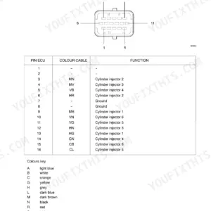 New Holland F4GE, F4HE, F4AE, F4BE injector connector pinout diagram and wiring table.