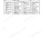 New Holland TT3.35-TT3.50 electrical systems fuse description and wiring diagram key for harnesses and connectors.