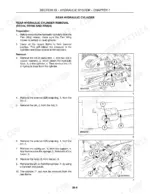 Case IH RR144, RR180, RR204 rear hydraulic cylinder removal procedure with component diagrams and numbered parts.